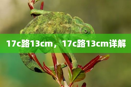 17c路13cm，17c路13cm详解