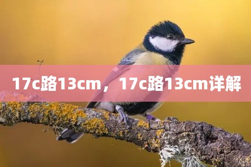 17c路13cm，17c路13cm详解