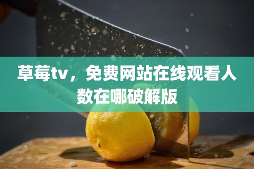 草莓tv，免费网站在线观看人数在哪破解版