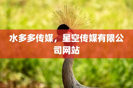 水多多传媒，星空传媒有限公司网站
