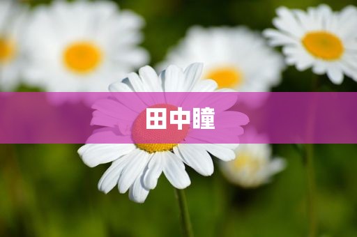 田中瞳