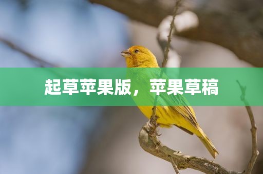 起草苹果版，苹果草稿