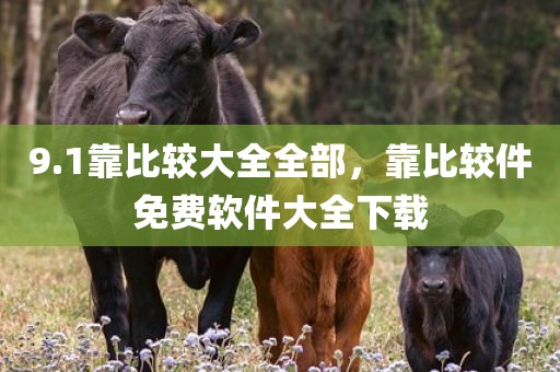9.1靠比较大全全部，靠比较件免费软件大全下载