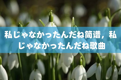 私じゃなかったんだね简谱，私じゃなかったんだね歌曲