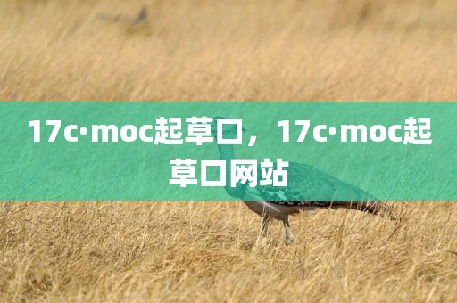 17c·moc起草口，17c·moc起草口网站