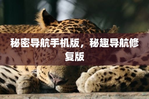 秘密导航手机版，秘趣导航修复版