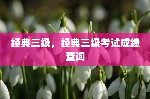 经典三级，经典三级考试成绩查询
