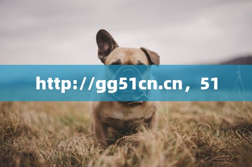 http://gg51cn.cn，51