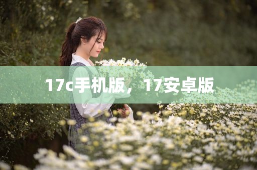 17c手机版，17安卓版