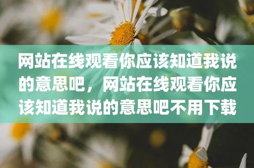 网站在线观看你应该知道我说的意思吧，网站在线观看你应该知道我说的意思吧不用下载