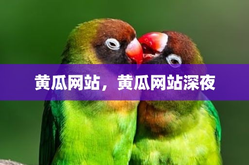黄瓜网站，黄瓜网站深夜