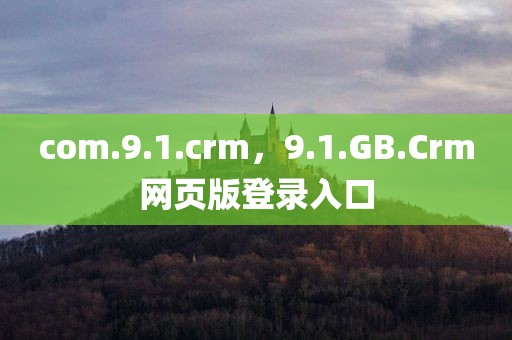 com.9.1.crm，9.1.GB.Crm网页版登录入口