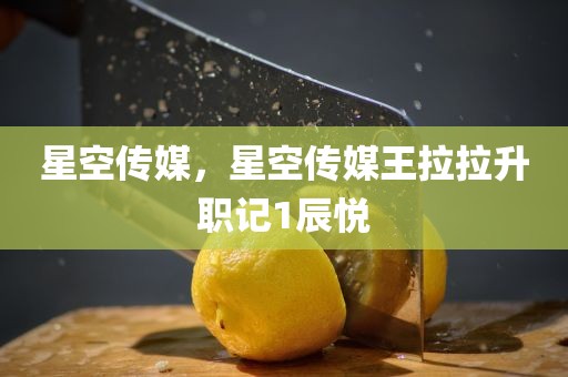 星空传媒，星空传媒王拉拉升职记1辰悦