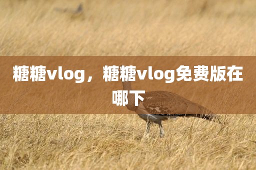 糖糖vlog，糖糖vlog免费版在哪下