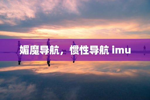媚魔导航，惯性导航 imu
