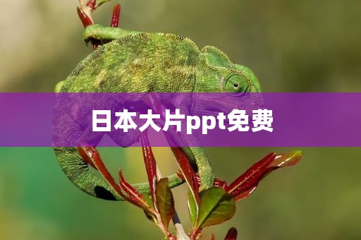 日本大片ppt免费