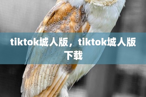 tiktok城人版，tiktok城人版下载