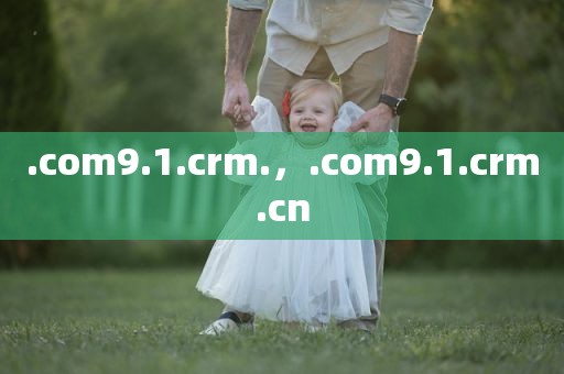 .com9.1.crm.，.com9.1.crm.cn
