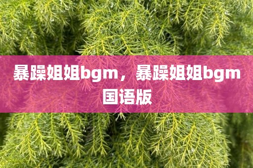 暴躁姐姐bgm，暴躁姐姐bgm国语版