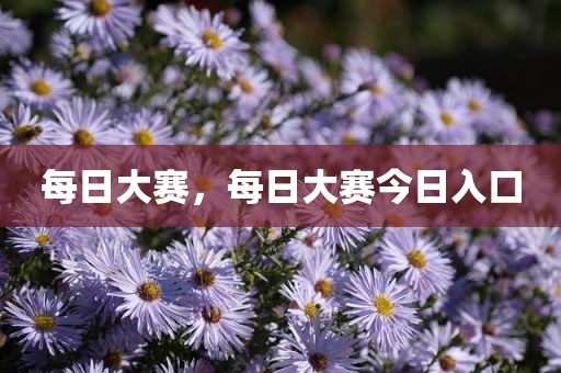 每日大赛，每日大赛今日入口