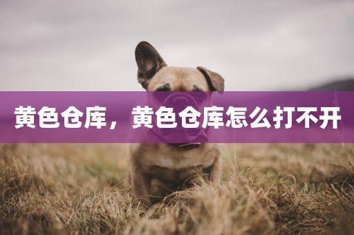 黄色仓库，黄色仓库怎么打不开
