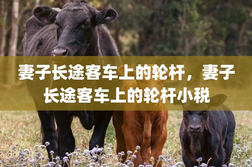 妻子长途客车上的轮杆，妻子长途客车上的轮杆小税