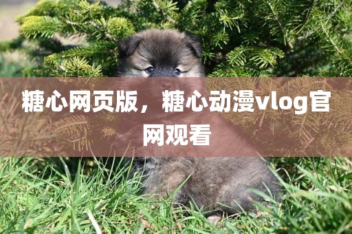 糖心网页版，糖心动漫vlog官网观看