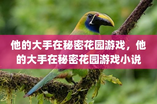 他的大手在秘密花园游戏，他的大手在秘密花园游戏小说