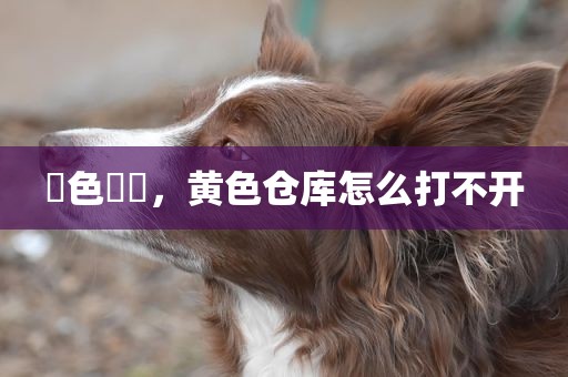 黃色倉庫，黄色仓库怎么打不开
