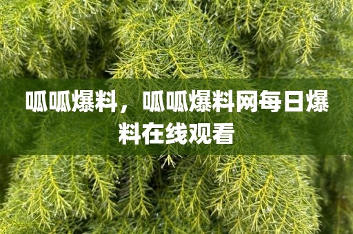 呱呱爆料，呱呱爆料网每日爆料在线观看