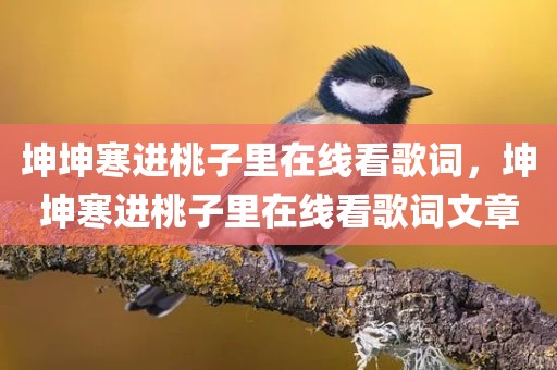 坤坤寒进桃子里在线看歌词，坤坤寒进桃子里在线看歌词文章