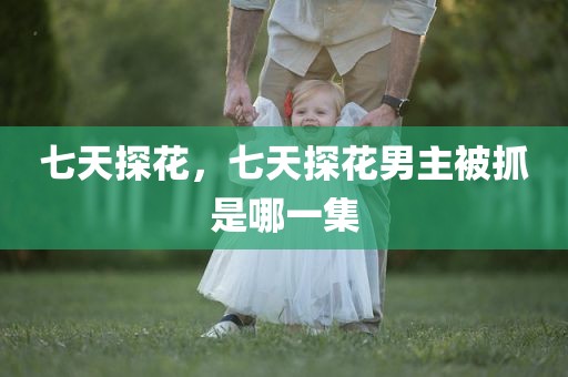 七天探花，七天探花男主被抓是哪一集