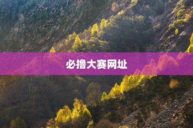 必撸大赛网址