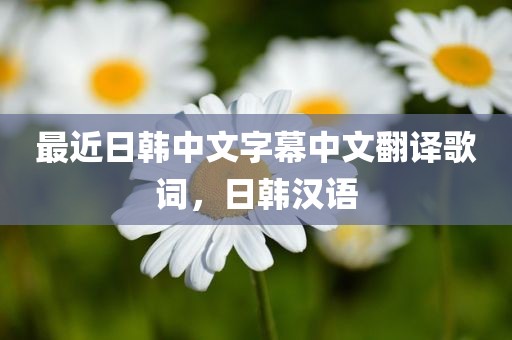 最近日韩中文字幕中文翻译歌词，日韩汉语