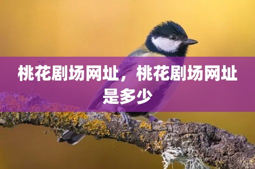 桃花剧场网址，桃花剧场网址是多少