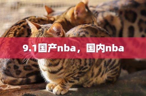 9.1国产nba，国内nba