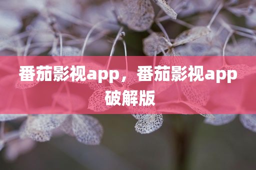 番茄影视app，番茄影视app 破解版