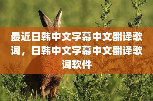 最近日韩中文字幕中文翻译歌词，日韩中文字幕中文翻译歌词软件