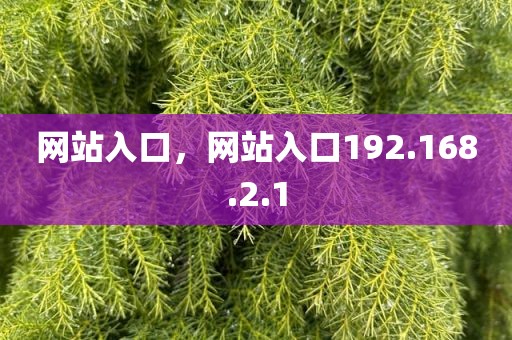 网站入口，网站入口192.168.2.1