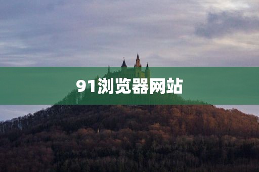 91浏览器网站