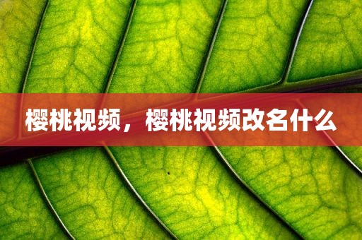 樱桃视频，樱桃视频改名什么