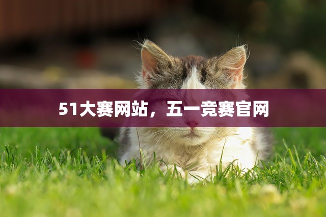 51大赛网站，五一竞赛官网