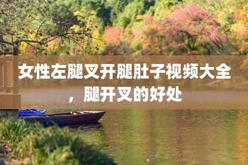 女性左腿叉开腿肚子视频大全，腿开叉的好处