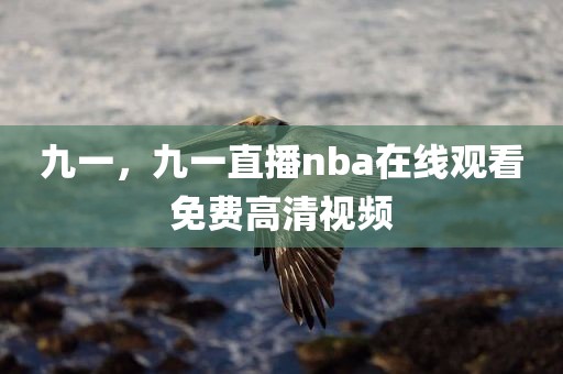 九一，九一直播nba在线观看免费高清视频