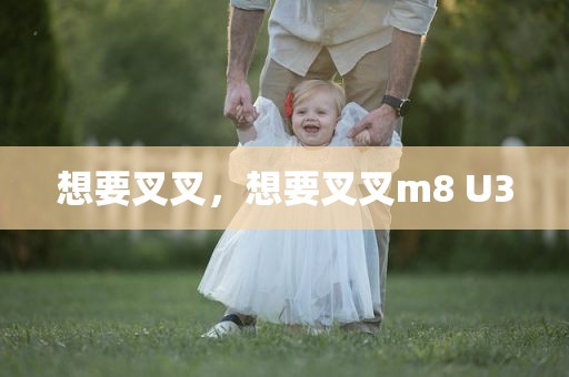 想要叉叉，想要叉叉m8 U3