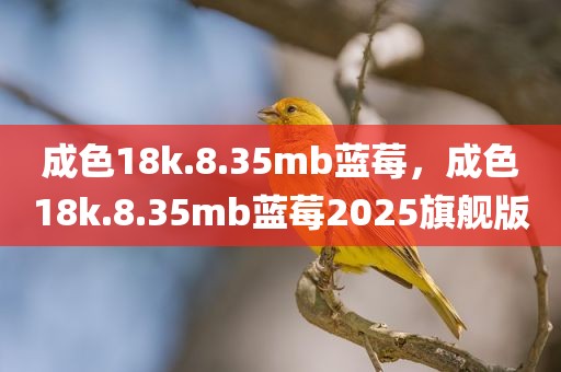 成色18k.8.35mb蓝莓，成色18k.8.35mb蓝莓2025旗舰版