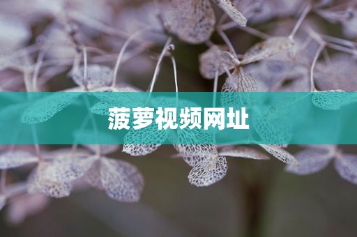 菠萝视频网址