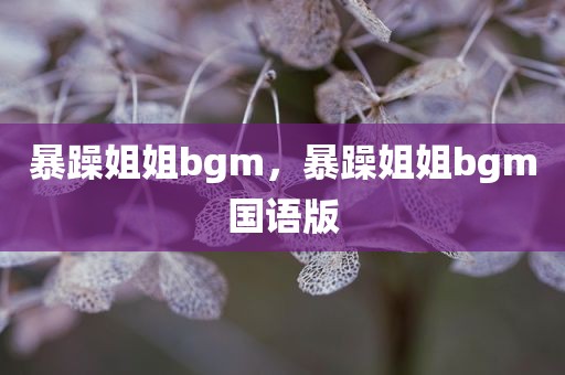 暴躁姐姐bgm，暴躁姐姐bgm国语版