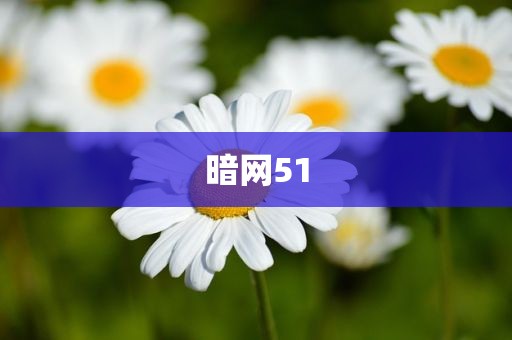 暗网51