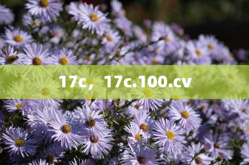 17c，17c.100.cv